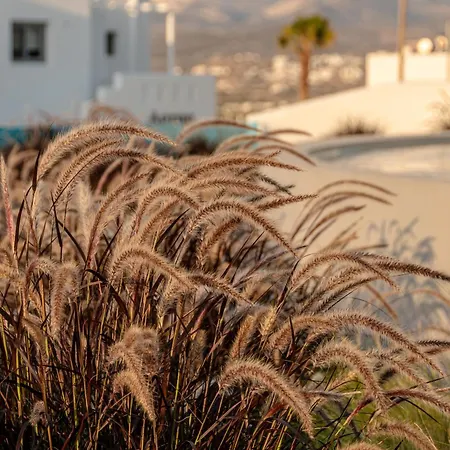 Nilea Island Living Αγία Άννα