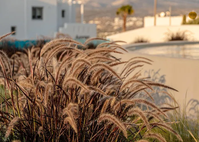 Nilea Island Living Αγία Άννα