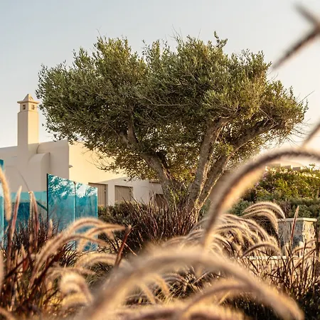 Nilea Island Living Апарт-отель Айя-Анна