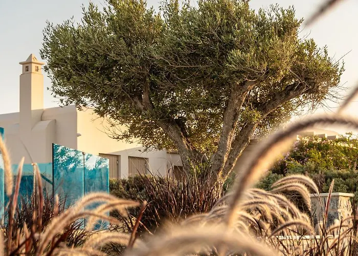 Nilea Island Living מלון דירות Agia Anna (Naxos)